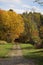 Rural picturesque country road in fall