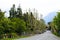 Rural picturesque street with trees, cars and blue mountain in background.