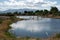 Rural pond with distant mountains in summer