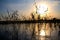 Rural pond at sundown