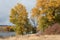 Rural pond surrounded by autumn cottonwoods