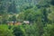 Rural property in the thicket of the Carpathians