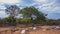 Rural region of the brazilian northeastern interior. The semi-arid tropical climate has the caatinga as a vegetation biome.