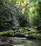 Rural River with Mossy Rocks