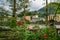 Rural riverside buildings at hill foot in flowering autumn on cl