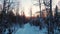 Rural road across picturesque winter wood with snowy trees