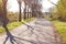 Rural road, agricultural tourism. Road surrounding crop fields