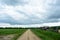 Rural road along a field of plants. Village, fence, houses. Forest in the distance. There are clouds