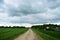 Rural road along a field of plants. Village, fence, houses. Forest in the distance. There are clouds
