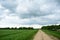 Rural road along a field of plants. Village, fence, houses. Forest in the distance. There are clouds