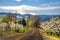 Rural road, apple orchards, Mt. Hood