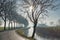 Rural road with bare trees and watercourse in Groningen, Netherlands