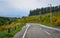 Rural road in Biei, Hokkaido, Japan