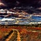 Rural road in countryside field during sunset. Evening landscape with field and road.