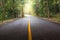 Rural road with a curve and sunlight at Mae Ya Waterfall, Doi Inthanon.