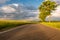 Rural road between fields in warm sunshine under dramatic sky