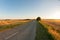 Rural road. Gold wheat field and blue sky. Ripe grain harvest time