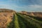 Rural road with grass, plowed fields, a copse with trees without leaves and clouds on a sky