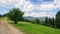 rural road through green meadows on rolling hills