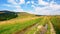 rural road through green meadows on rolling hills