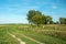 Rural road through a meadow, wooden fence and trees