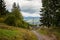 Rural road near Yasinya village. Carpathian mountains, Ukraine