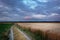 Rural road next to the grain field