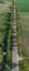 Rural road with old tree alley in nature park, vertical pano, aerial