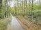 Rural Road In The Rain