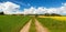 Rural road rapeseed field cornfield landscape