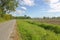 Rural Road in Richmond, Canada