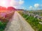 Rural road in the Sicilian island of Favignana