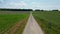 Rural Road to Serenity: The Path Through Verdant Farmlands