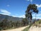 Rural road, Toribio de Mogrovejo neighborhood, Chachapoyas, Peru, South America