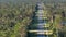 Rural road traffic in American small town in Florida with private homes between green trees and suburban streets in