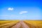 Rural road through a yellow agricultural field