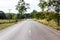 Rural Roads Landscape,tree along the way