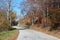 Rural roadway surrounded by autumn trees on both sides