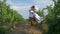 Rural romance, wine grower circling rural woman in straw hat and white dress while picking grapes on plantation on sunny