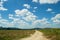 Rural rough road flanked with coin field and white clouds with blue sky in background.