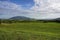 rural sceen of lush green paddocks and cows