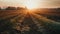 Rural scene at dusk, wheat harvesting industry generated by AI