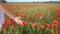 Rural scene, female hand stroking red poppies flowers. Large field of wild poppies, beauty nature concept