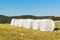 Rural scene with hay bales wrapped in plastic film. Hay bales in plastic. Summer work on an agricultural farm.