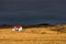 Rural scene in Iceland