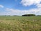 Rural scene of newly sewn fields with plantation behind