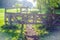 rural scene wooden gate closes path illuminated by morning sunlight