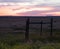 Rural Scene with Yellow Wildflowers, Fence and Sunset