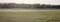 Rural scenery with cows, fields and forest. Grassland on day panorama. Nature countryside horizontal landscape. Pasture