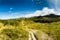 Rural scenery at dunedin